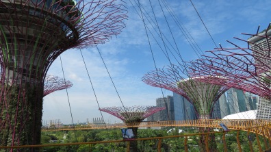 Sky wall - Gardens by the Bay