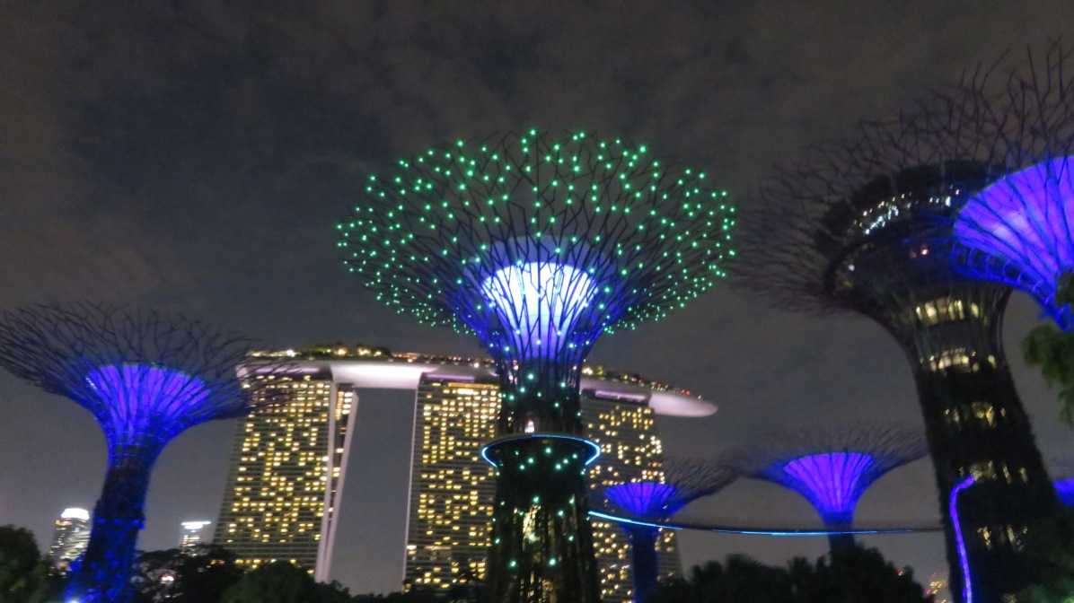 Supertrees by night - 7.45pm and 8.45pm